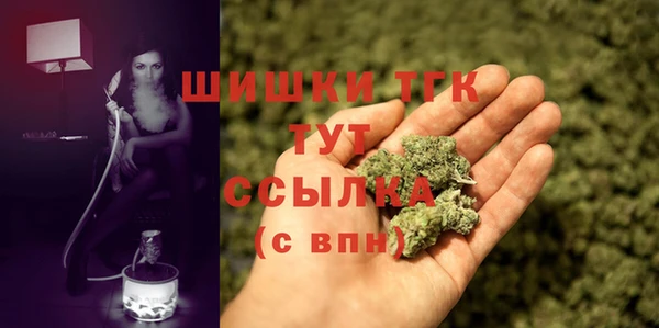 ГАЛЛЮЦИНОГЕННЫЕ ГРИБЫ Покровск