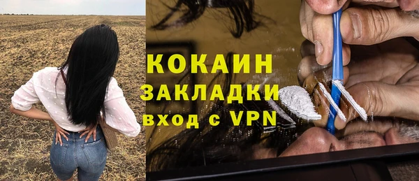 ГАЛЛЮЦИНОГЕННЫЕ ГРИБЫ Покровск