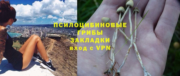 mdpv Покров
