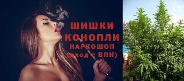 ГАЛЛЮЦИНОГЕННЫЕ ГРИБЫ Покровск