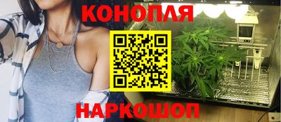 прущие крисы Жуковский