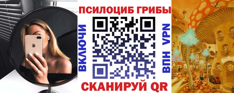 Галлюциногенные грибы Psilocybine cubensis MEGA ТОР Кузнецк