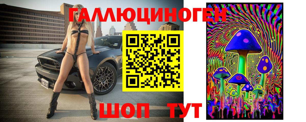 Псилоцибиновые грибы Psilocybe  Вход с VPN  Псилоцибиновые грибы Psilocybe  Кузнецк 